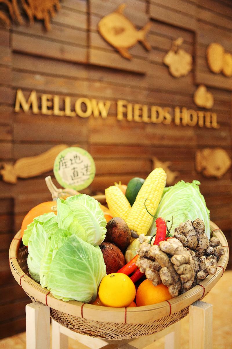 Mellow Fields Hotel Тайбэй Экстерьер фото
